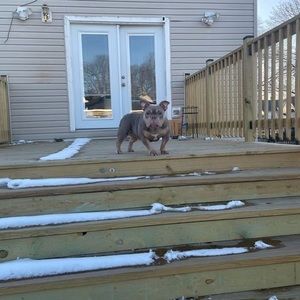 Meet your Posher, Eddie